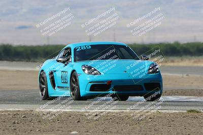 media/May-03-2024-PCA Central Coast (Fri) [[eaa7da0ee1]]/White Group/Session 2 (Cotton Corners)/